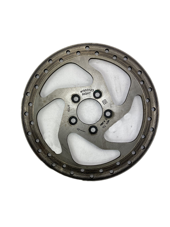Disque de frein arrière OEM 41500123