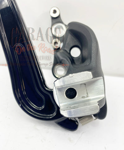 Placa y pedal de freno Indian Ref 1020033-658