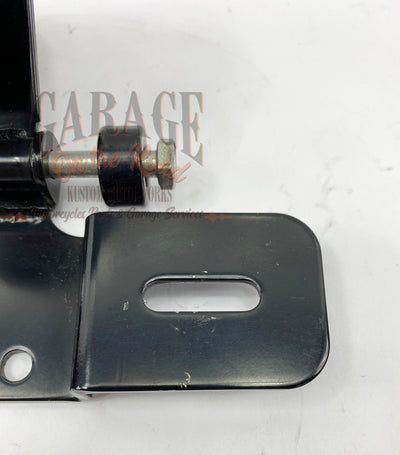 Light and license plate support