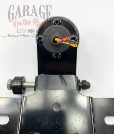 Light and license plate support